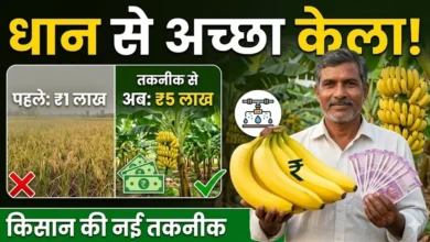 Dhan Se Accha Kela