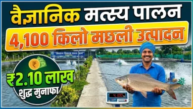 Fish Farming Success Story
