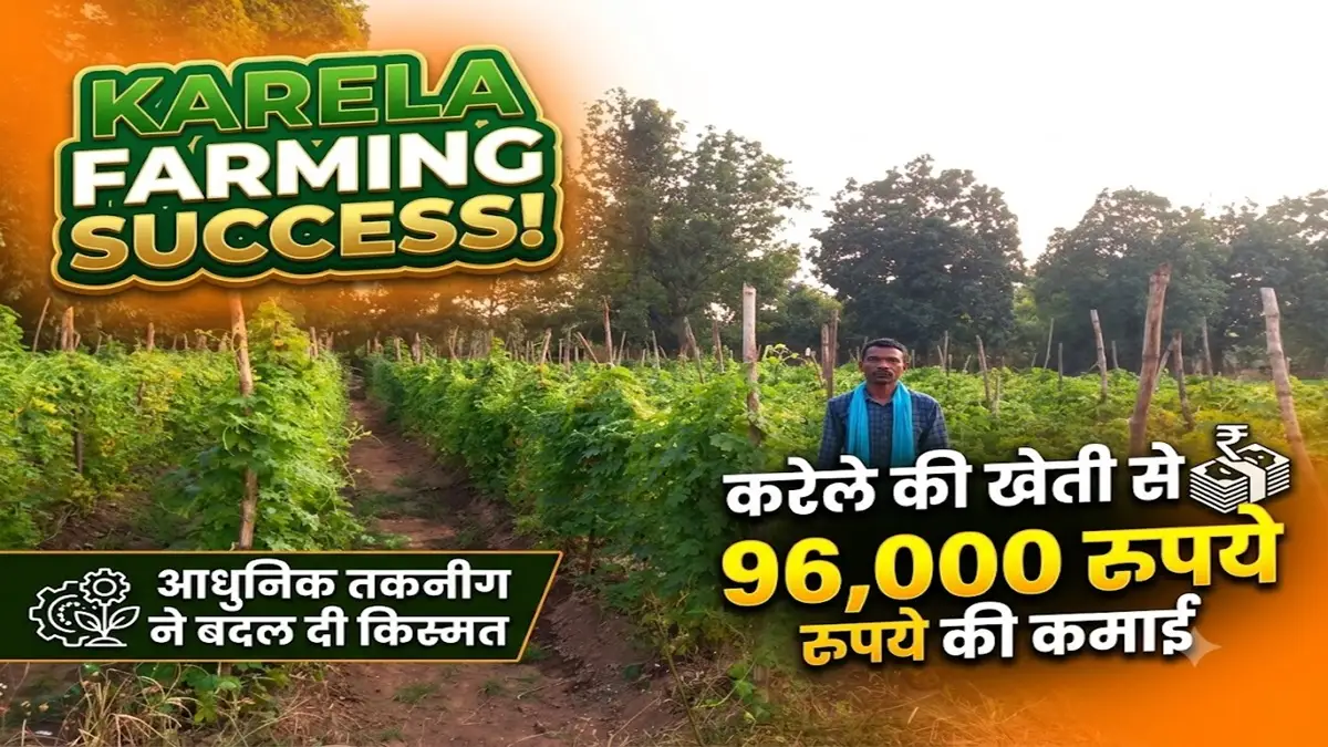 Karela Farming Success