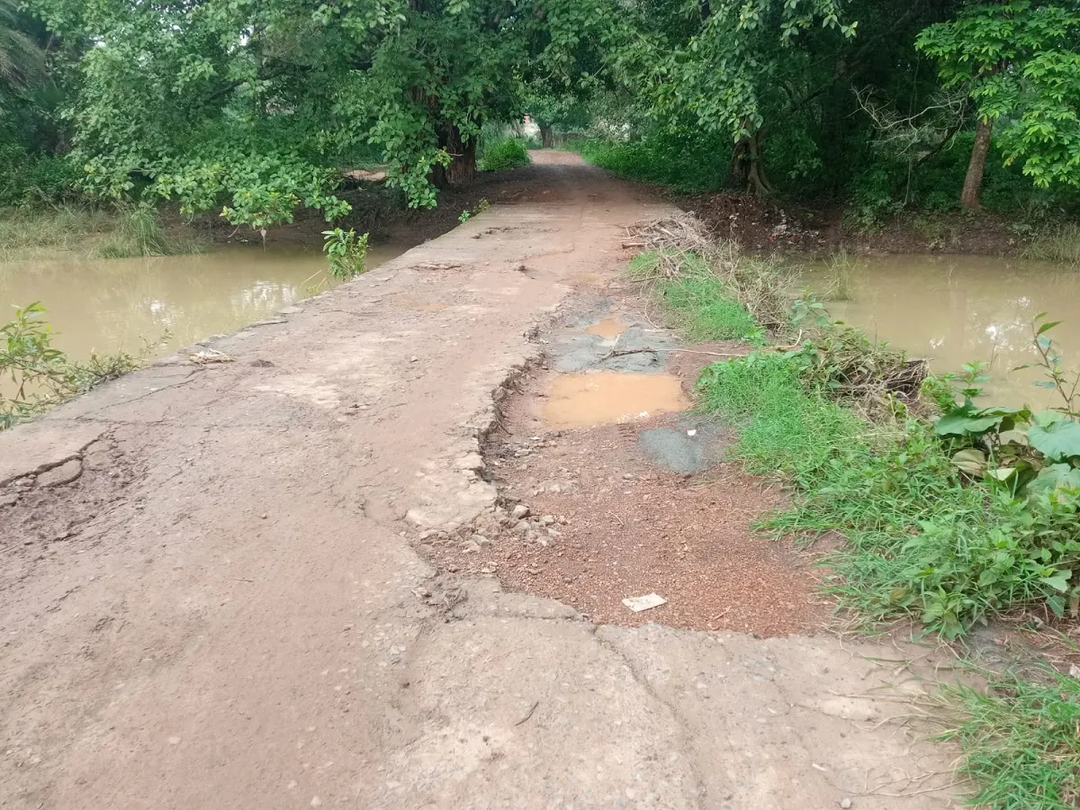 Aamakoni Bridge News